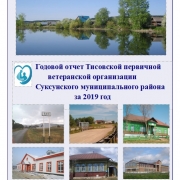 Годовой отчет Тисовской первичной ветеранской организации Суксунского муниципального района за 2019 год